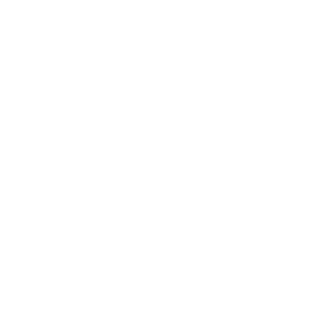 dart